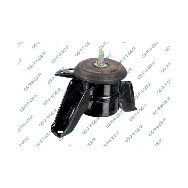 Variklio montavimas GSP 539153