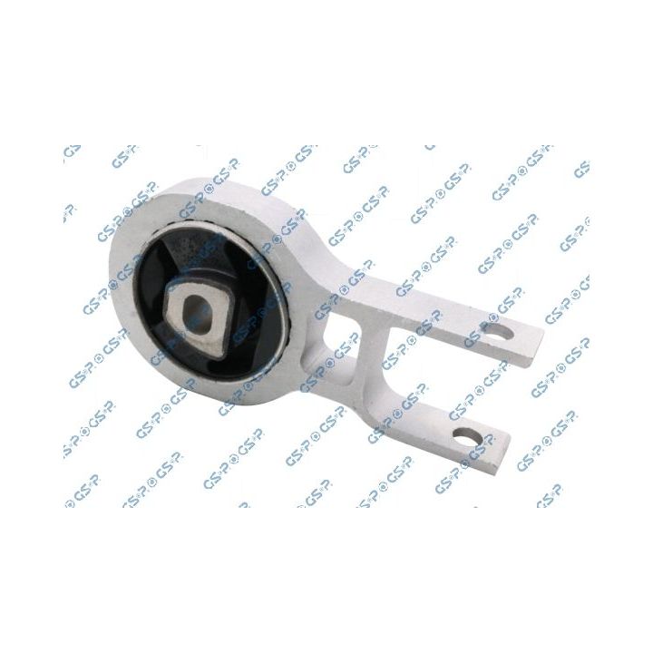 Variklio montavimas GSP 539210