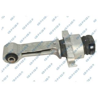 Variklio montavimas GSP 539240