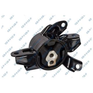 Variklio montavimas GSP 539244