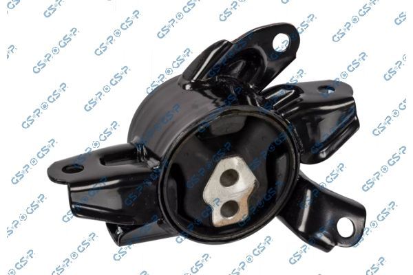 Variklio montavimas GSP 539244