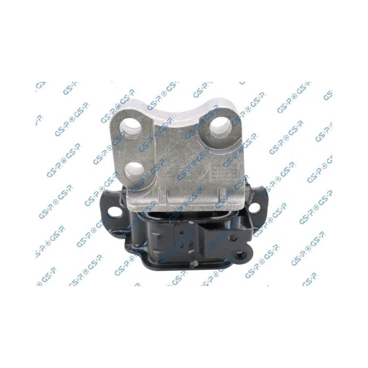 Variklio montavimas GSP 539256