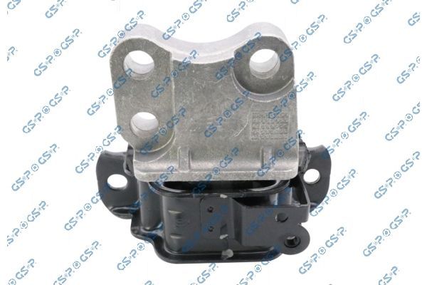 Variklio montavimas GSP 539256