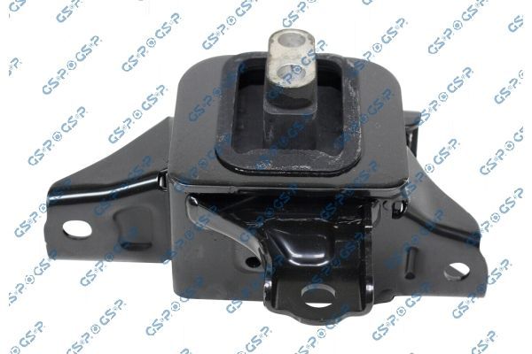 Variklio montavimas GSP 539262