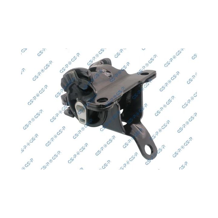 Variklio montavimas GSP 539274