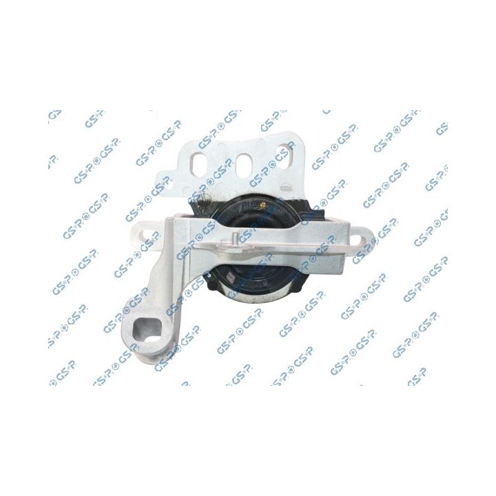 Variklio montavimas GSP 539283