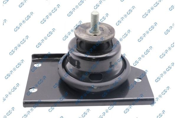 Variklio montavimas GSP 539289