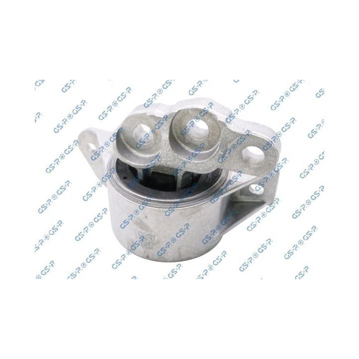Variklio montavimas GSP 539290