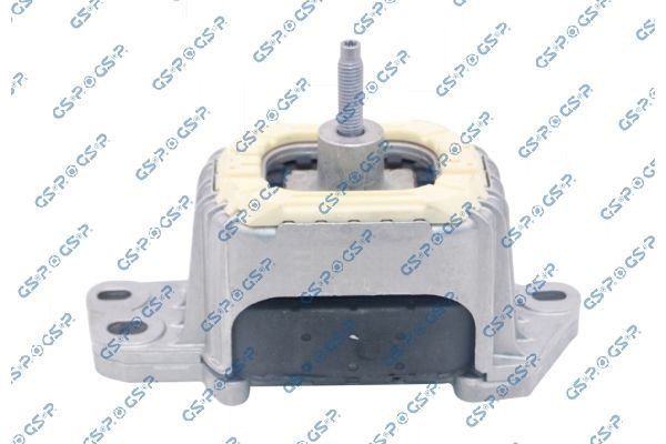 Variklio montavimas GSP 539291