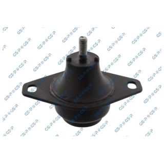 Variklio montavimas GSP 539294