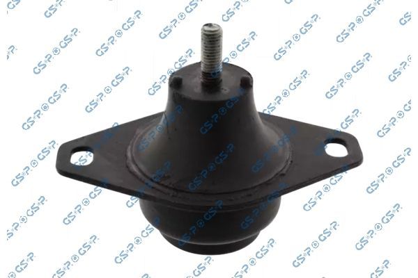 Variklio montavimas GSP 539294