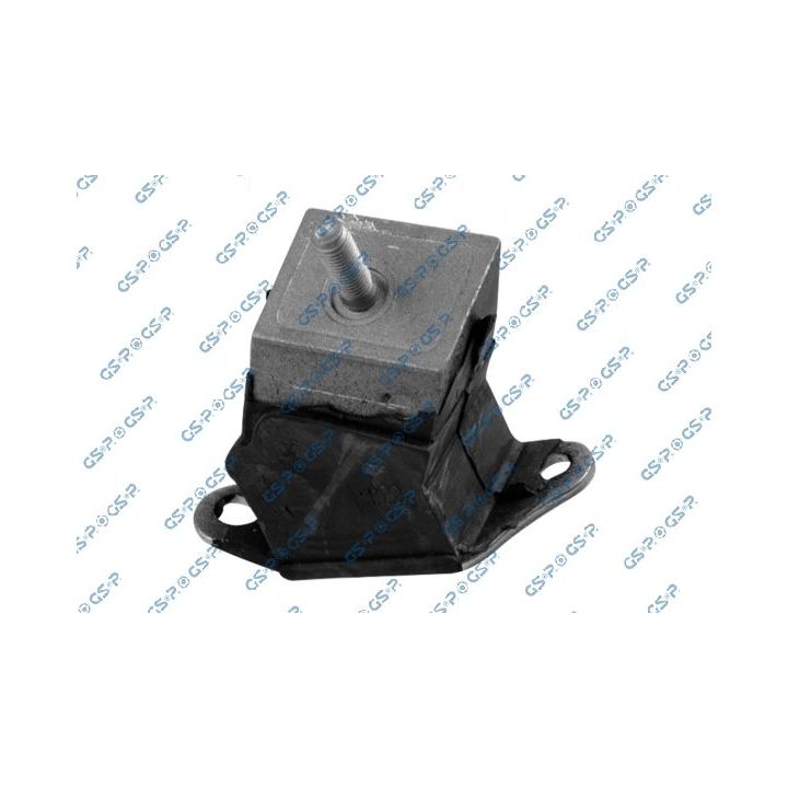 Variklio montavimas GSP 539295