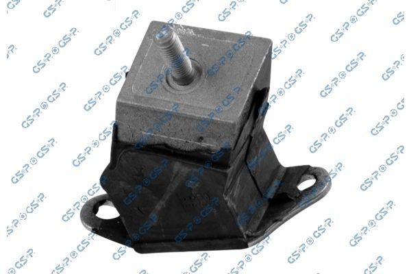 Variklio montavimas GSP 539295