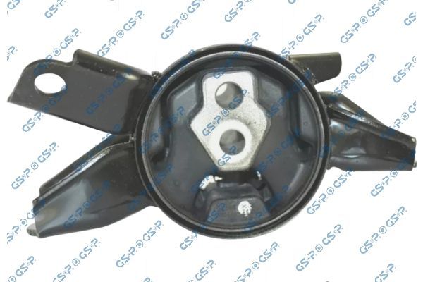 Variklio montavimas GSP 539300