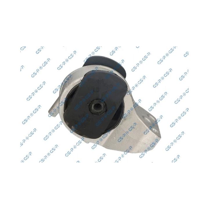 Variklio montavimas GSP 539302
