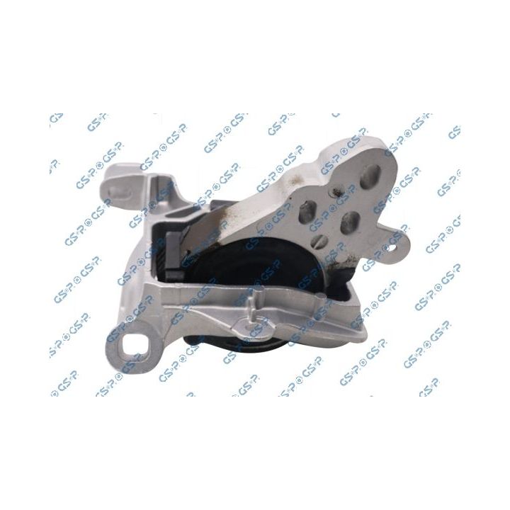 Variklio montavimas GSP 539307