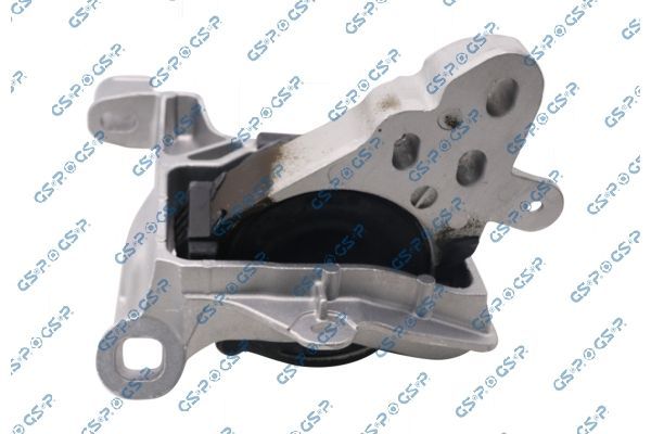 Variklio montavimas GSP 539307