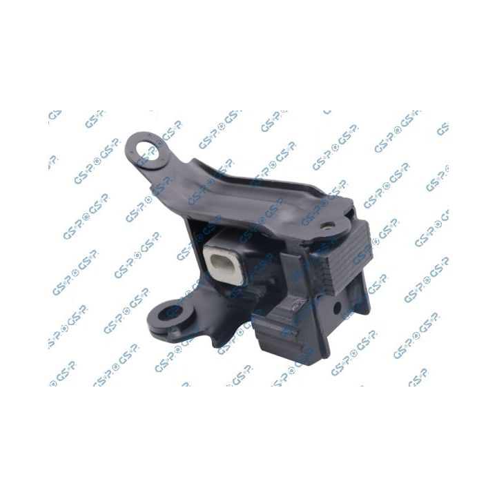 Variklio montavimas GSP 539309