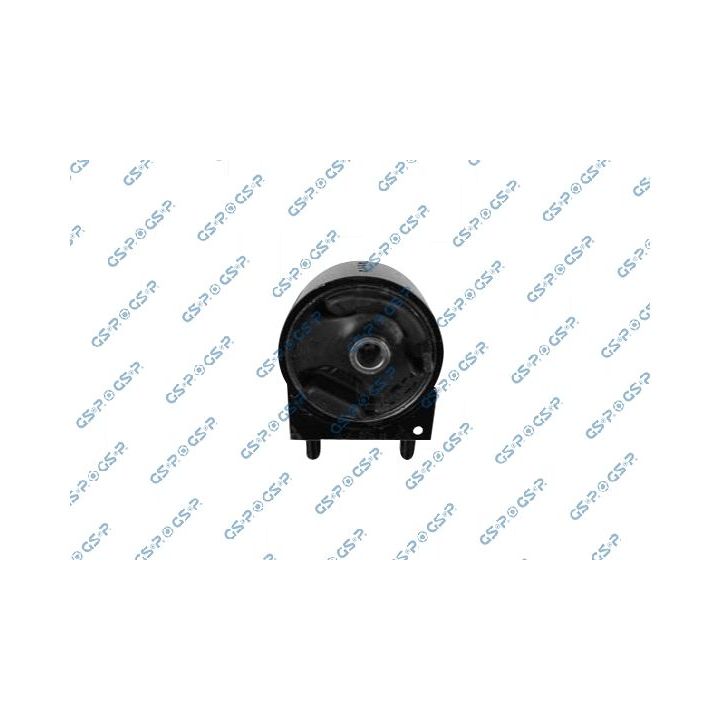 Variklio montavimas GSP 539344