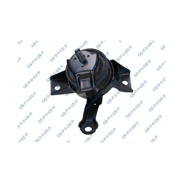 Variklio montavimas GSP 539367