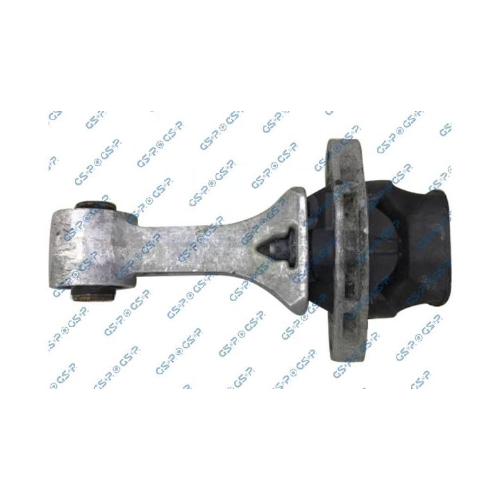 Variklio montavimas GSP 539378
