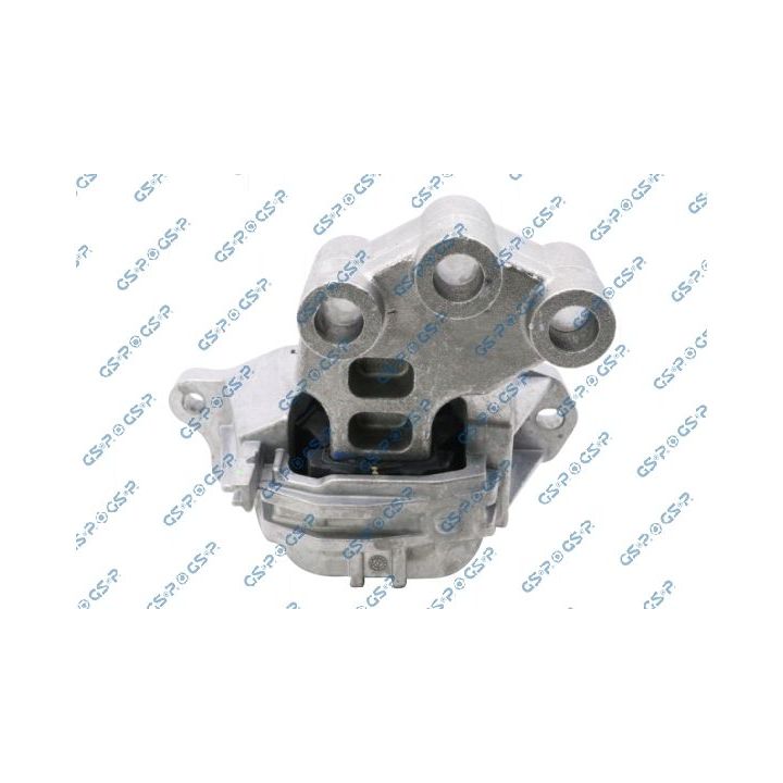 Variklio montavimas GSP 539421