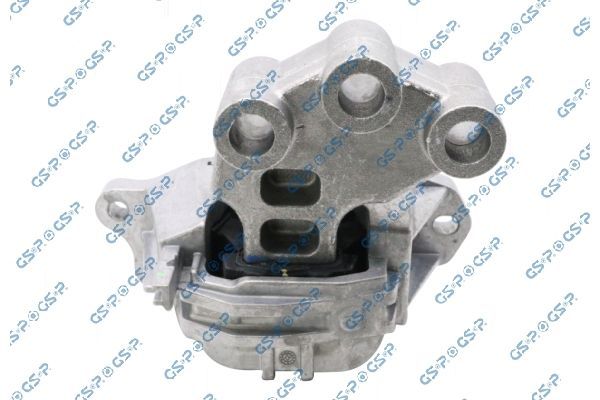 Variklio montavimas GSP 539421