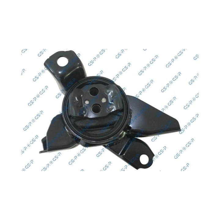 Variklio montavimas GSP 539444