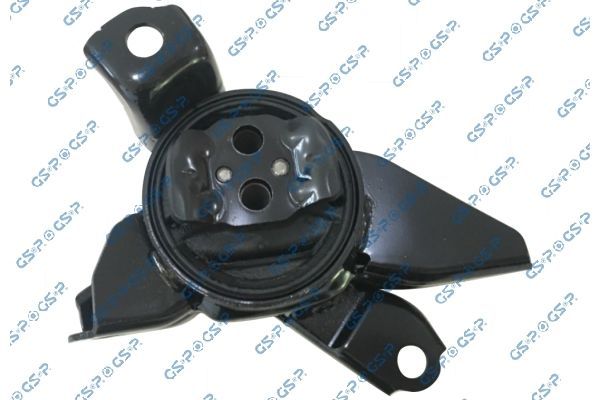 Variklio montavimas GSP 539444