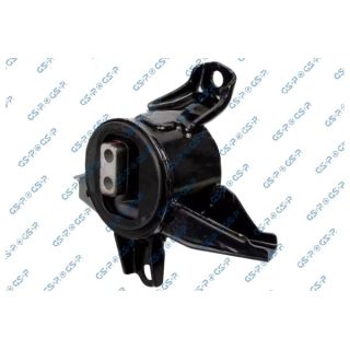 Variklio montavimas GSP 539445