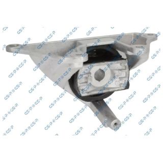 Variklio montavimas GSP 539471
