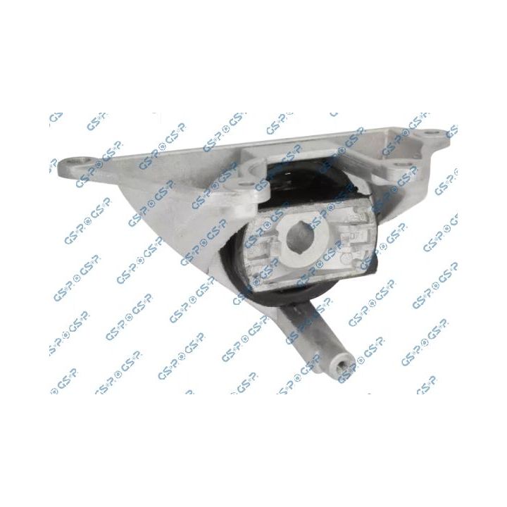 Variklio montavimas GSP 539471