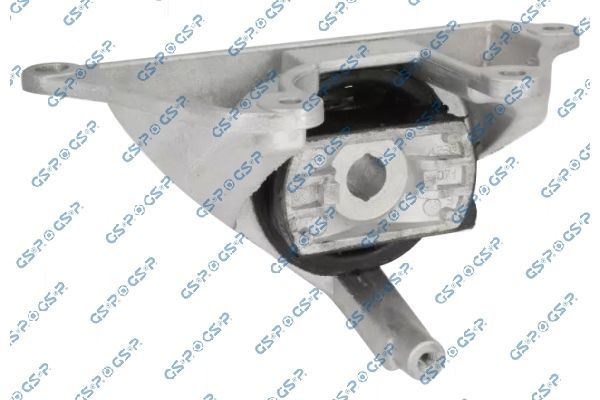 Variklio montavimas GSP 539471
