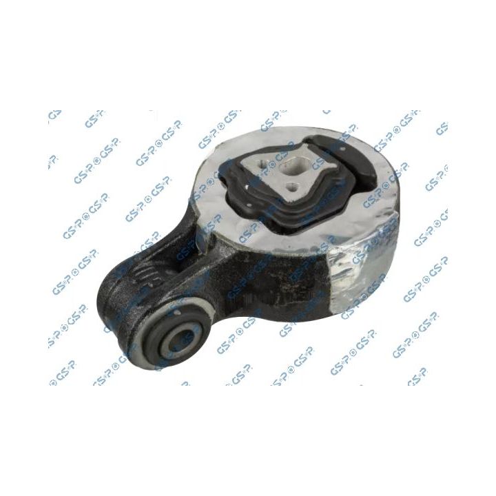 Variklio montavimas GSP 539472