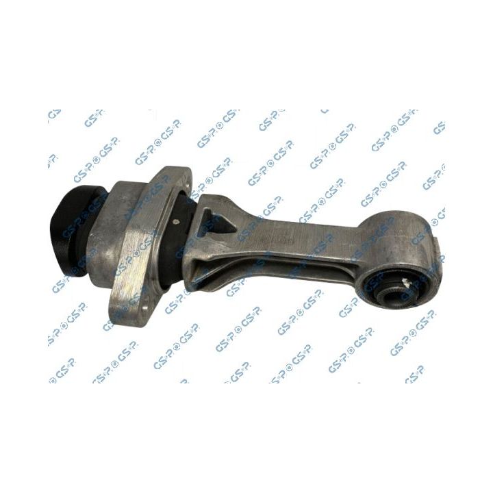 Variklio montavimas GSP 539474