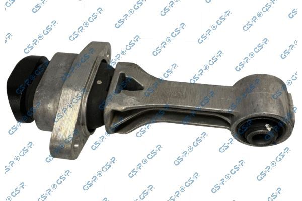 Variklio montavimas GSP 539474