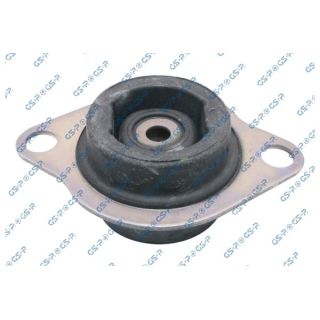 Variklio montavimas GSP 539479