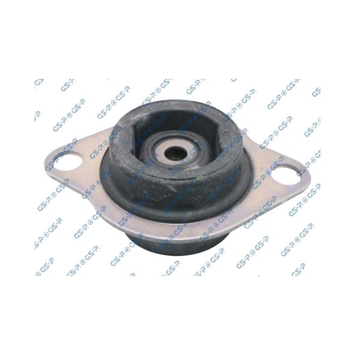 Variklio montavimas GSP 539479