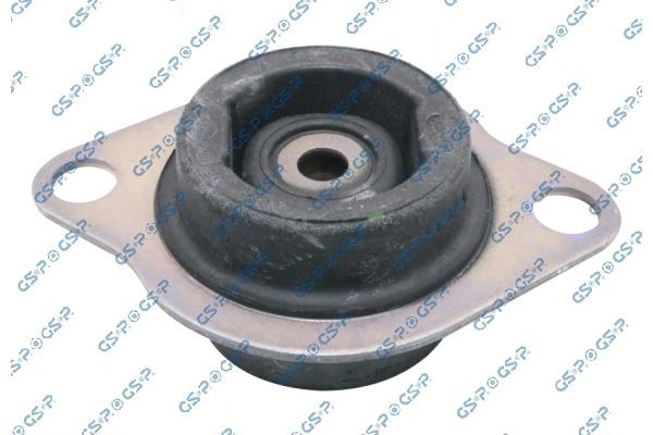 Variklio montavimas GSP 539479