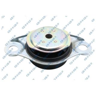 Variklio montavimas GSP 539481