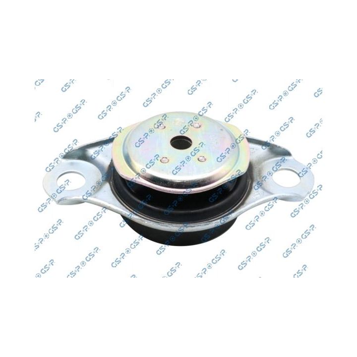 Variklio montavimas GSP 539481