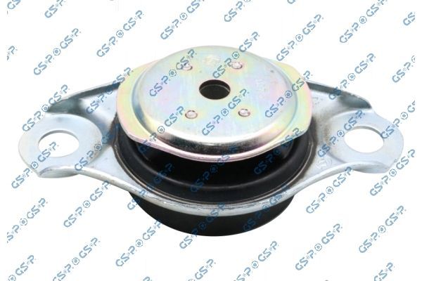 Variklio montavimas GSP 539481