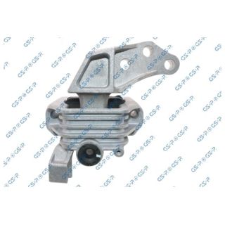 Variklio montavimas GSP 539544