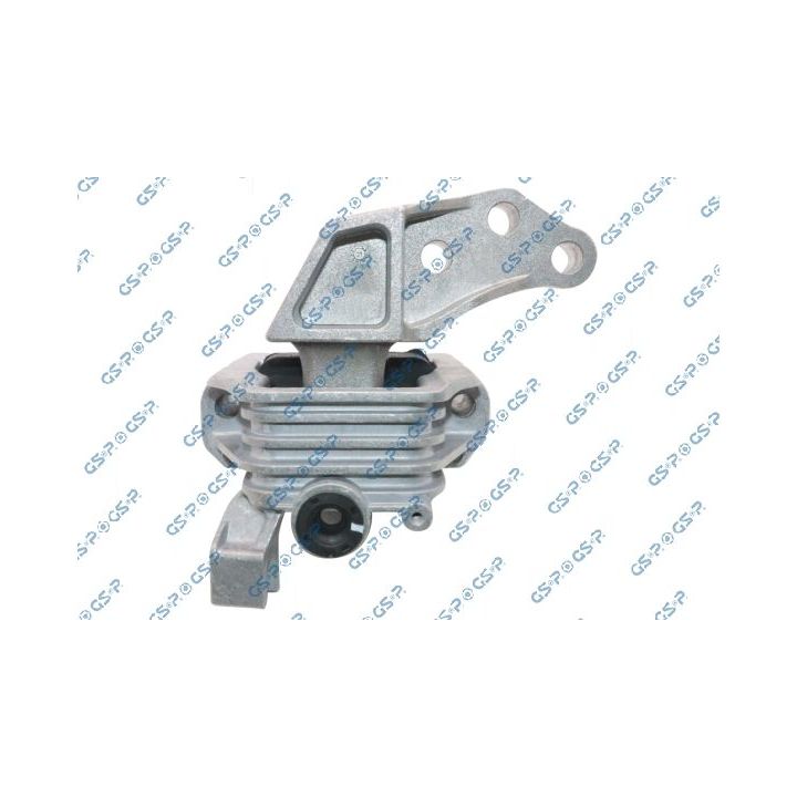 Variklio montavimas GSP 539544