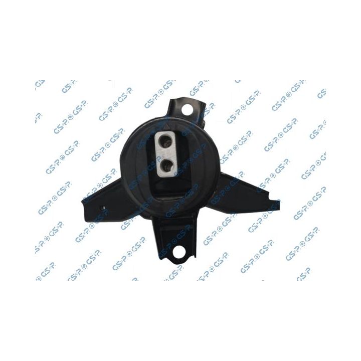 Variklio montavimas GSP 539776