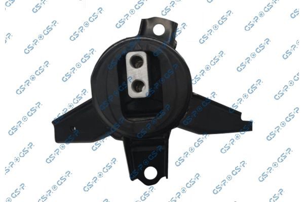 Variklio montavimas GSP 539776