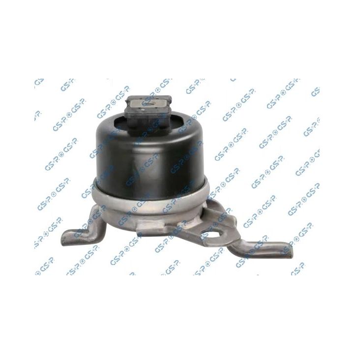 Variklio montavimas GSP 539792