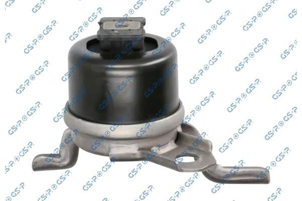 Variklio montavimas GSP 539792