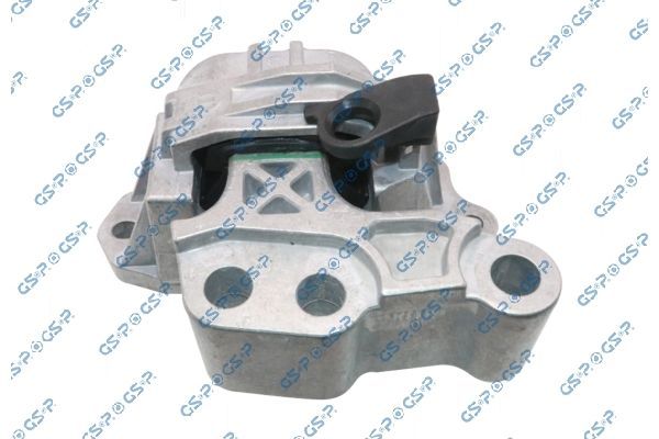 Variklio montavimas GSP 539805