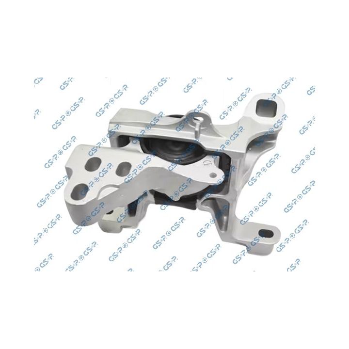 Variklio montavimas GSP 539819